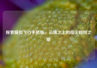 探索模拟飞行手机版，云端之上的指尖翱翔之旅
