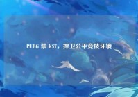 PUBG 禁 KST，捍卫公平竞技环境