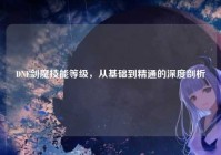 DNF剑魔技能等级，从基础到精通的深度剖析