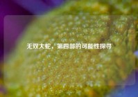 无双大蛇，第四部的可能性探寻