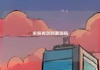 永恒有效的激活码