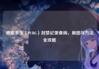 绝地求生（PUBG）封禁记录查询，原因与方法全攻略