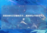 深度剖析日女辅助符文，揭秘峡谷节奏掌控之道