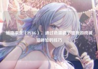 绝地求生（PUBG），通过色温调节提升游戏视觉体验的技巧