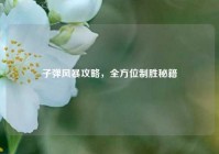 子弹风暴攻略，全方位制胜秘籍