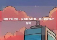 洞察之眼攻略，深度剖析机制，揭开隐藏挑战密码