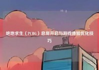 绝地求生（PUBG）息屏开启与游戏体验优化技巧
