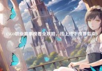 CSGO职业赛事观看全攻略，线上线下观赛指南