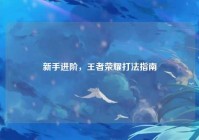 新手进阶，王者荣耀打法指南
