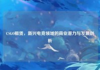 CSGO租赁，新兴电竞领域的商业潜力与发展剖析