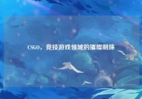 CSGO，竞技游戏领域的璀璨明珠