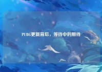 PUBG更新背后，等待中的期待