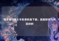 地下城与勇士手机单机版下载，真相探究与风险剖析