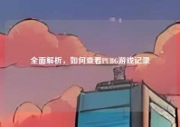 全面解析，如何查看PUBG游戏记录