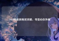 CSGO枪皮肤购买攻略，寻觅心仪外观