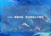 CSGO，举报开挂，捍卫竞技公平底线