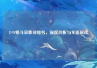 DNF格斗家职业排名，深度剖析与全面解读