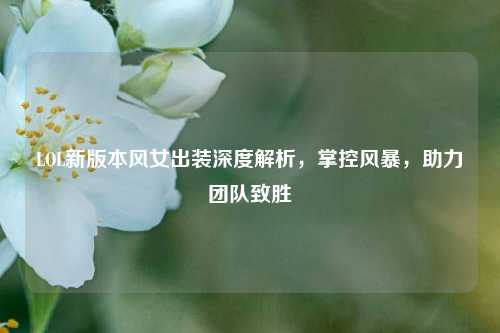 LOL新版本风女出装深度解析，掌控风暴，助力团队致胜