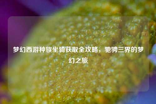 梦幻西游种族坐骑获取全攻略,驰骋三界的梦幻之旅
