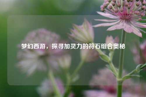梦幻西游,探寻加灵力的符石组合奥秘