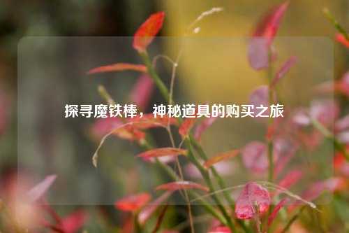 探寻魔铁棒，神秘道具的购买之旅