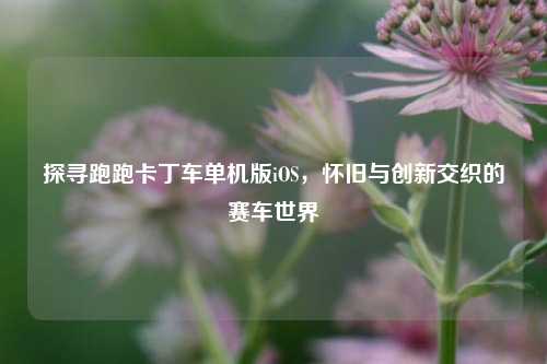 探寻跑跑卡丁车单机版iOS,怀旧与创新交织的赛车世界