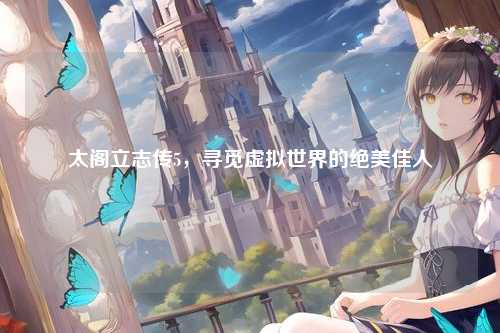 太阁立志传5，寻觅虚拟世界的绝美佳人