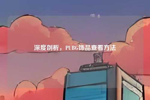 深度剖析，PUBG饰品查看方法