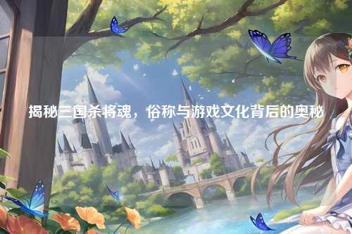 揭秘三国杀将魂，俗称与游戏文化背后的奥秘