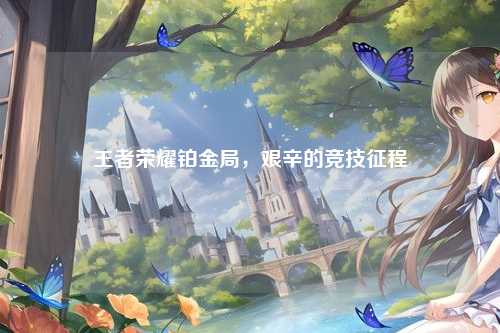 王者荣耀铂金局,艰辛的竞技征程