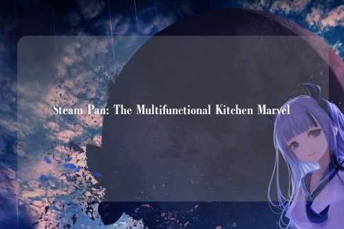 Steam Pan: The Multifunctional Kitchen Marvel