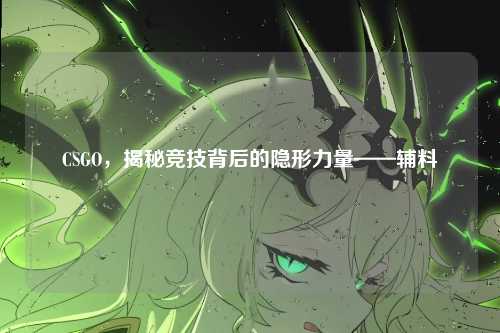 CSGO,揭秘竞技背后的隐形力量——辅料