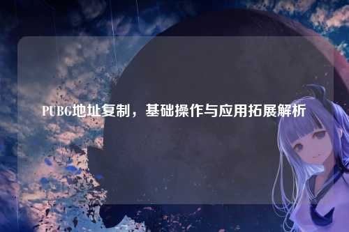 PUBG地址复制，基础操作与应用拓展解析