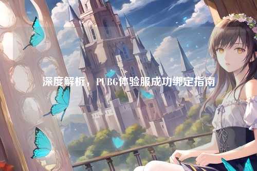 深度解析，PUBG体验服成功绑定指南